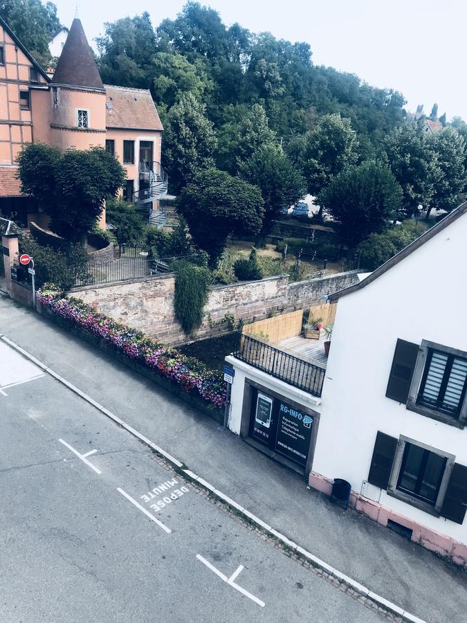 Les Cottages De France Saverne سافيرن المظهر الخارجي الصورة