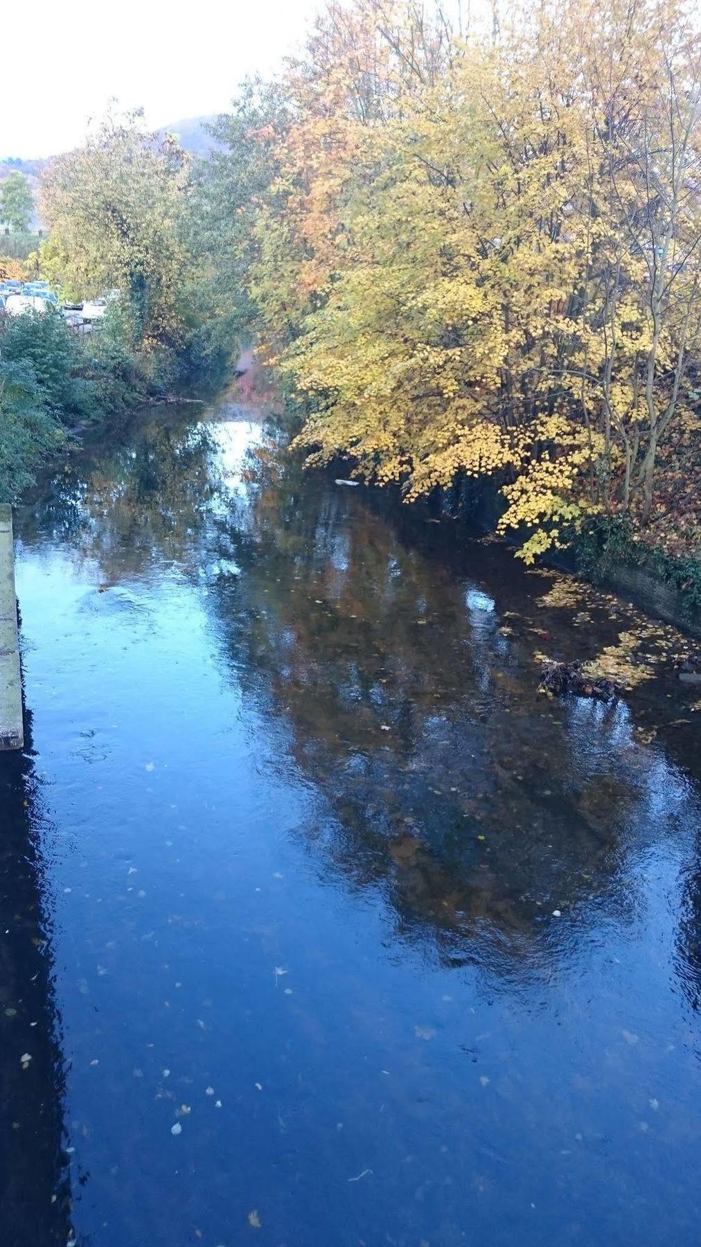 Les Cottages De France Saverne سافيرن المظهر الخارجي الصورة